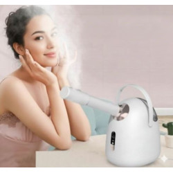 Vaporizador facial caliente/frio con mango portátil
